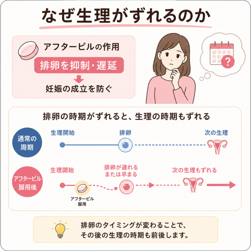 アフターピルで排卵時期がずれ、生理が早まったり遅れたりする仕組みを示した図。